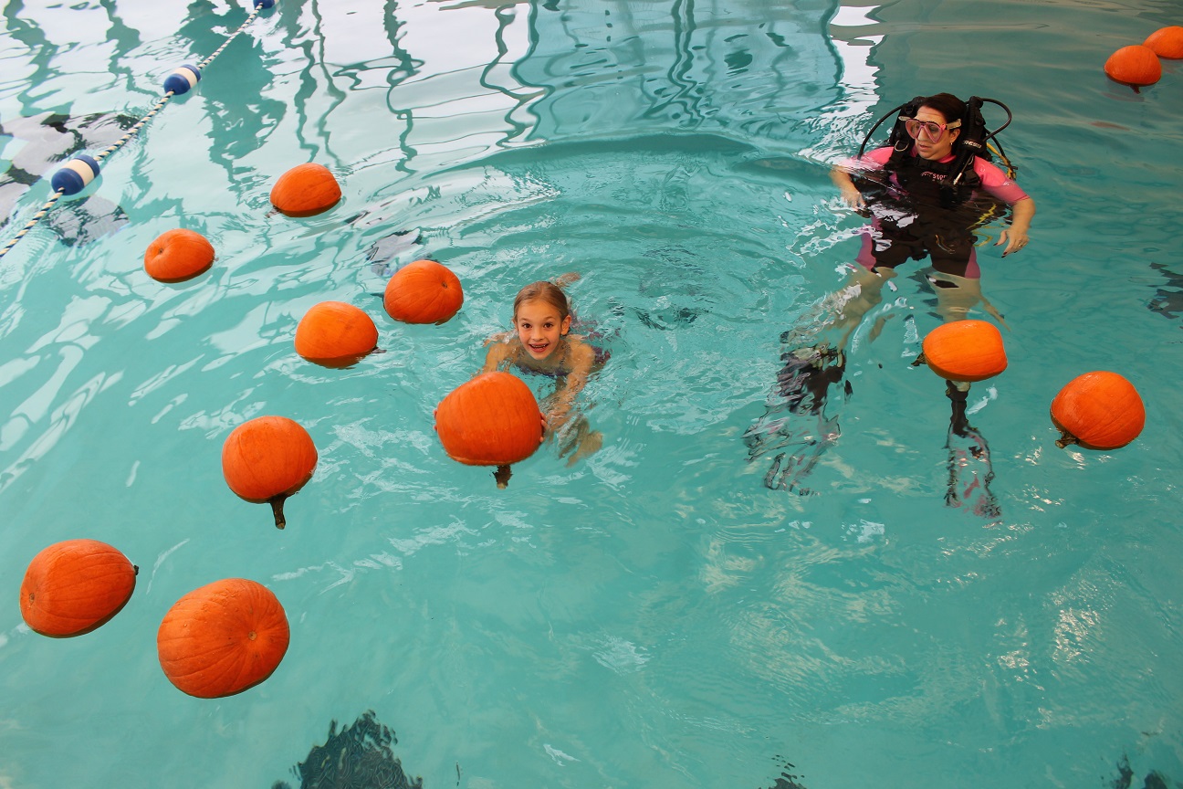 Pumpkin Swim